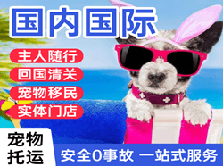 阿拉善机场空运国际宠物托运 【国